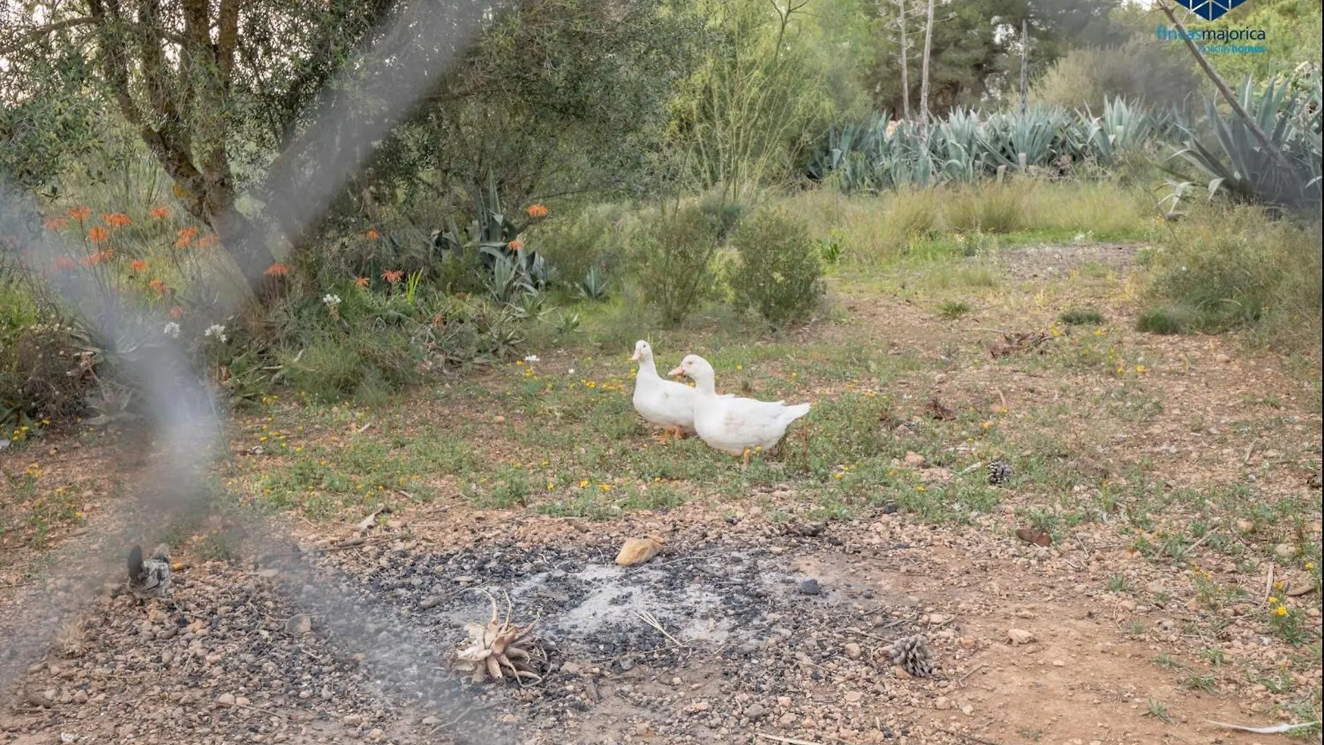 Finca Timanfaya Llucmajor  Llucmajor (Mallorca)